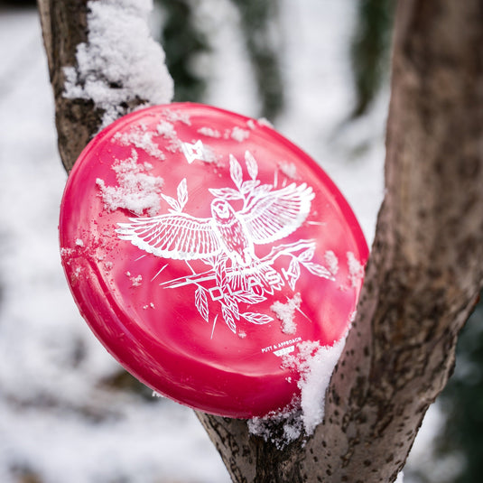 Wingman Discs Dlask Putter DiscGolf Scheibe, rot, mit Schnee in Baum