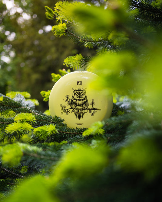 Wingman Discs Kalous Fairway Driver  DiscGolf Scheibe, gelb in Baum