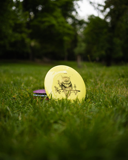 Wingman Discs Kalous Fairway Driver  DiscGolf Scheibe, gelb auf Wiese